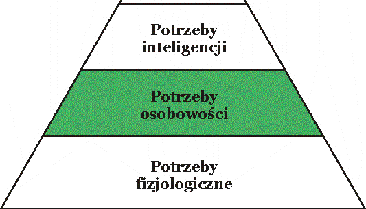 Hierarchie potrzeb ludzkich W literaturze można znaleźć wiele różnych hierarchii
