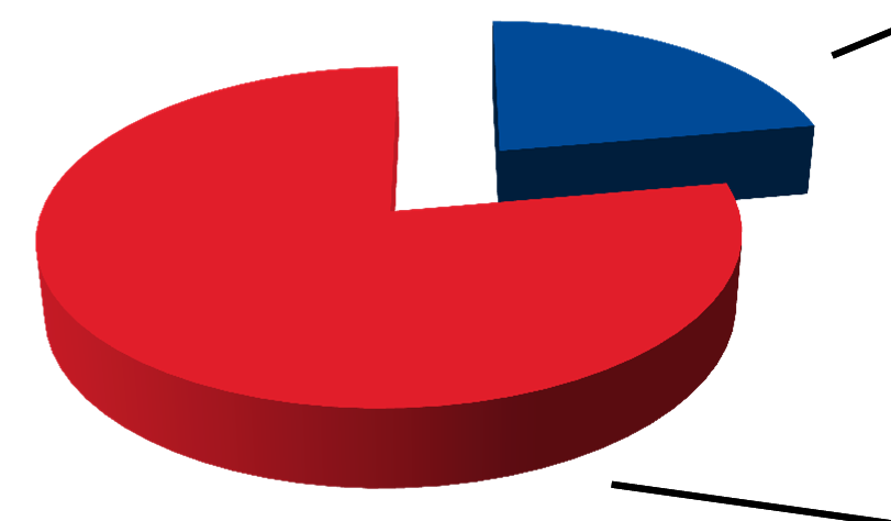 2. Struktura Mieszkaniowych rachunków powierniczych w PKO Banku Polskim SA duży deweloper 40%