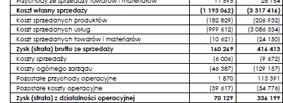 Specyfika raportowania w spółkach