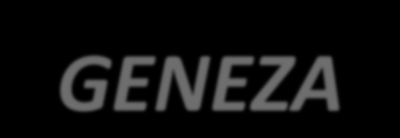 GENEZA 1997 rok opracowanie programu Przyjaciele Zippiego przez psychologów i pedagogów angielskiej organizacji charytatywnej Partnership for Children; 1998 rok pilotaż programu w przedszkolach w