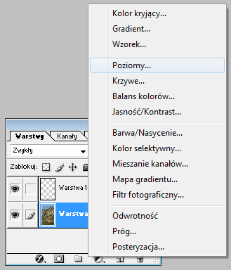 POZIOMY Aby dodać warstwę dopasowania poziomów sięgnij do Warstwa /