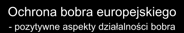 walory estetyczne, wpływa korzystnie na jakość