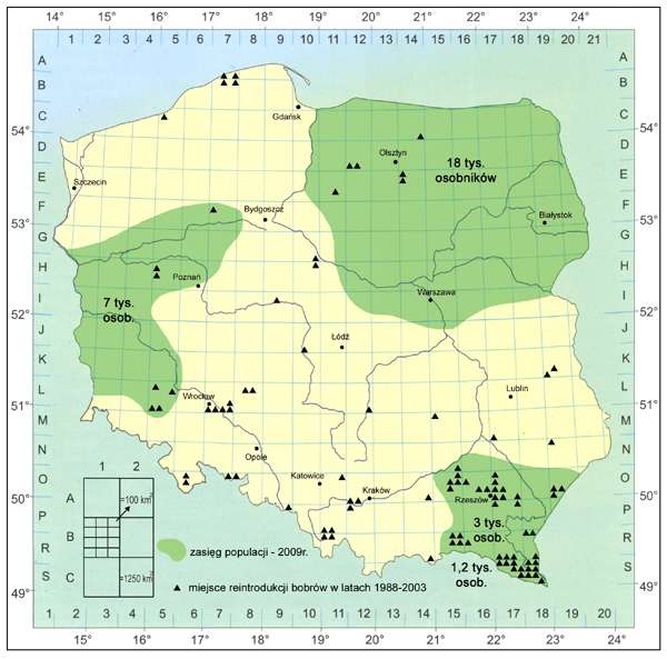 Występowanie - występowanie Występuje na terenie całego kraju z wyjątkiem wysokich gór Tatry, Karkonosze. Krajowa populacja bobra szacowana jest na 35 000 osobników.