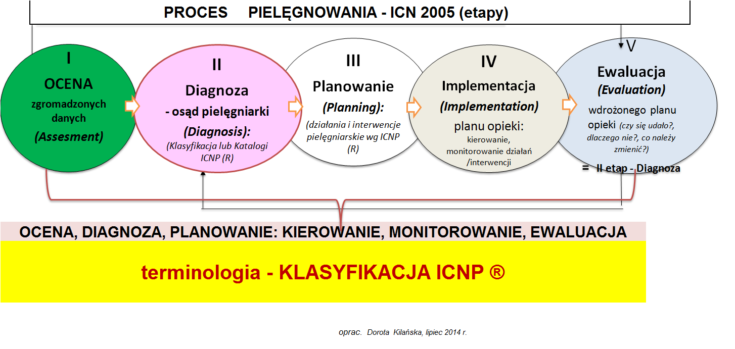 Ryc.1. Proces Pielęgnowania wg.