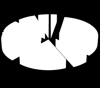 Na dzień 31 grudnia 2011 r.