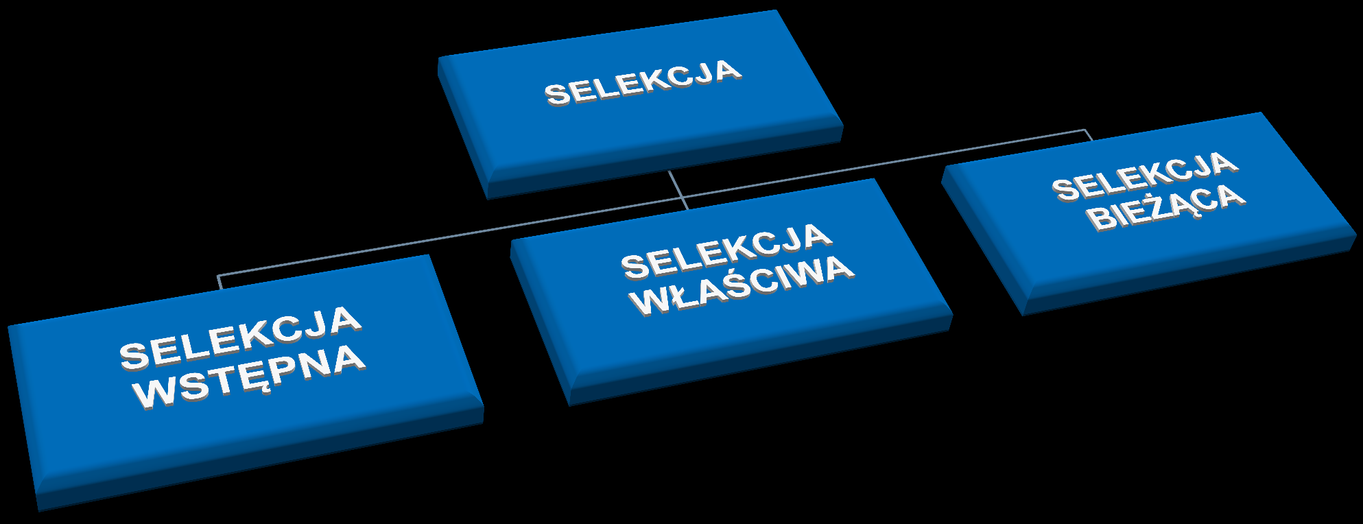 Selekcja