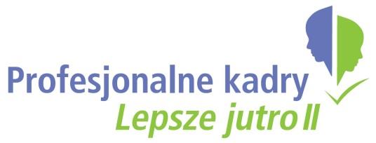 PARTNERSTWO LOKALNE JAKO METODA AKTYWIZACJI SPOŁECZNEJ Dobre praktyki partnerskie wartością dodaną cyklu doradczego: Partnerstwo w czterech krokach, realizowanego w