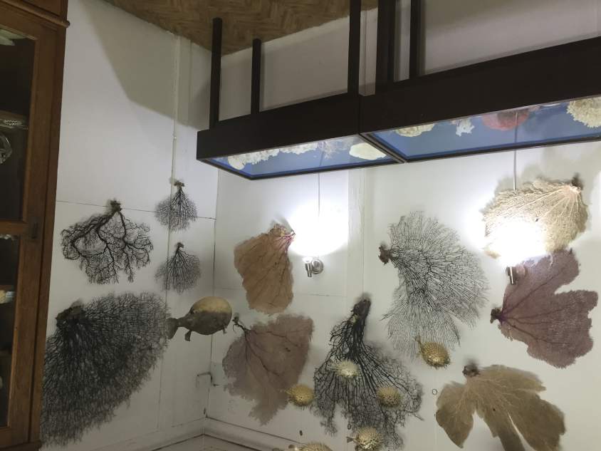 Muzeum Przyrodniczo Ekologiczne czynne jest