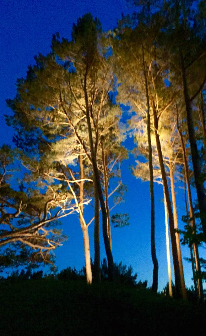 ILUMINACJA Tegoroczna NOC MUZEÓW dosłownie świeciła.
