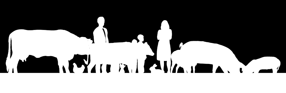 Protokół oceny dobrostanu psów schroniskowych: http://www.carodog.eu/data/shelter_quality_protocol_2014.