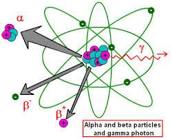 Schemat badania