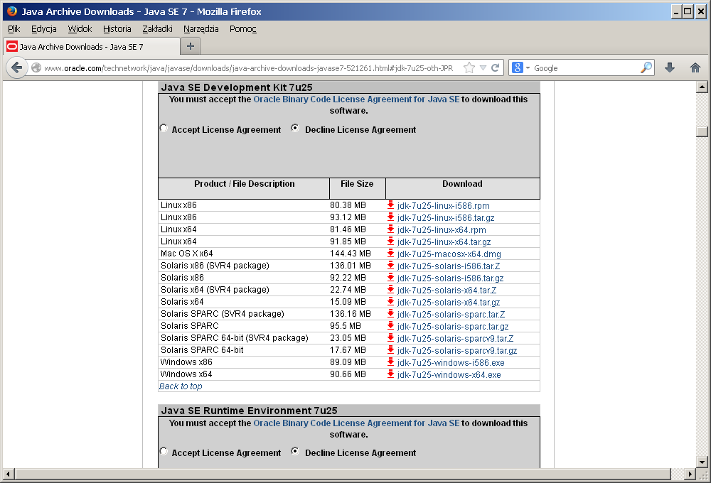 JDK 7u25 NetBeans 7.3.