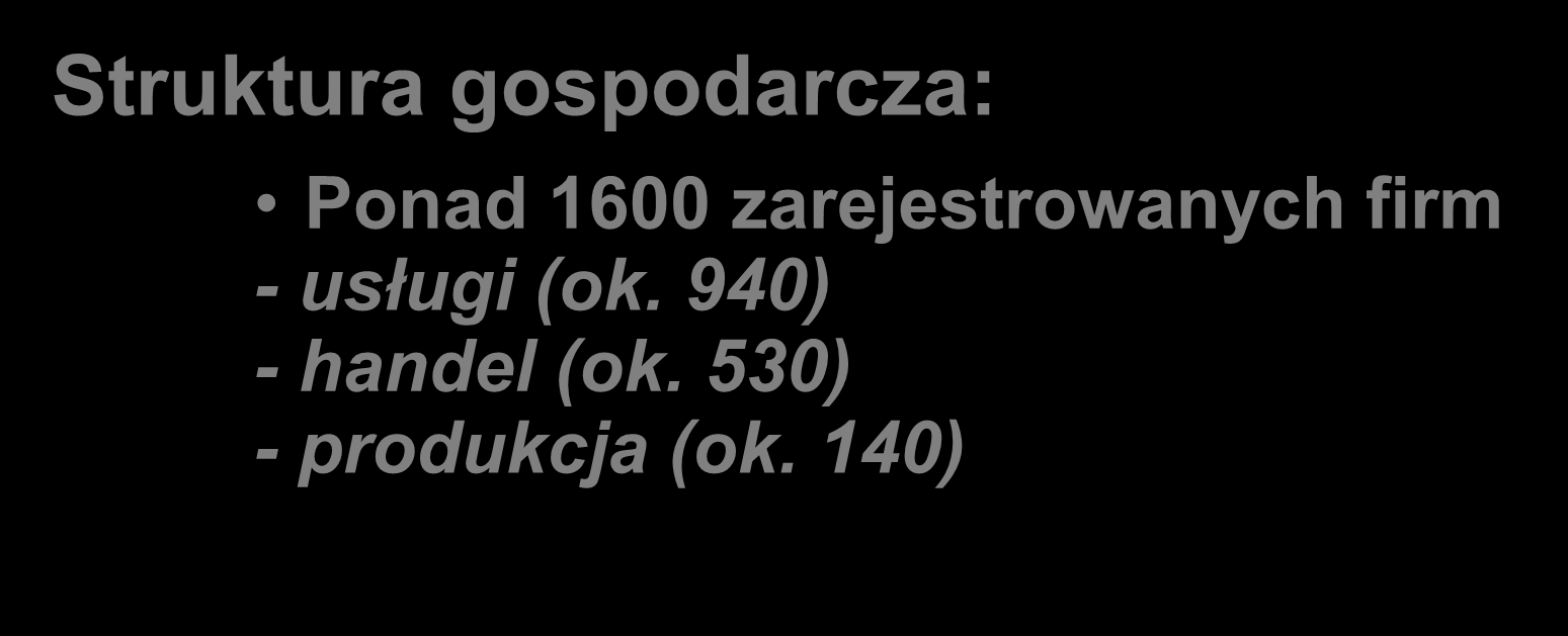 Powierzchnia: 11,44 km 2 Liczba mieszkańców: 21 582 Struktura gospodarcza: Ponad