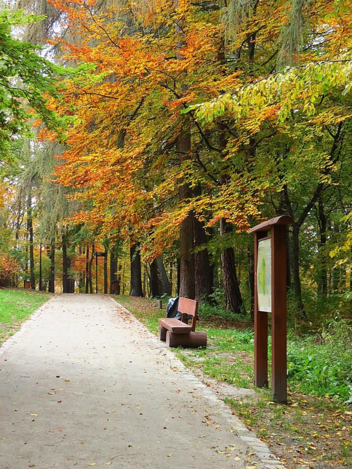 WAŁBRZYCH: WIELKI SKOK