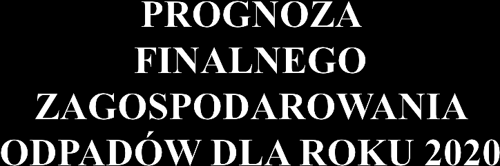 11% 0% 10% 38% 41% Składowanie Recykling Redukcja masy w procesach