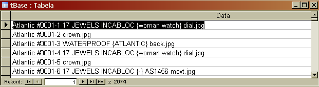 mdb - na ekranie powinno pojawić się okno główne bazy danych ATLANTIC Watches : g)