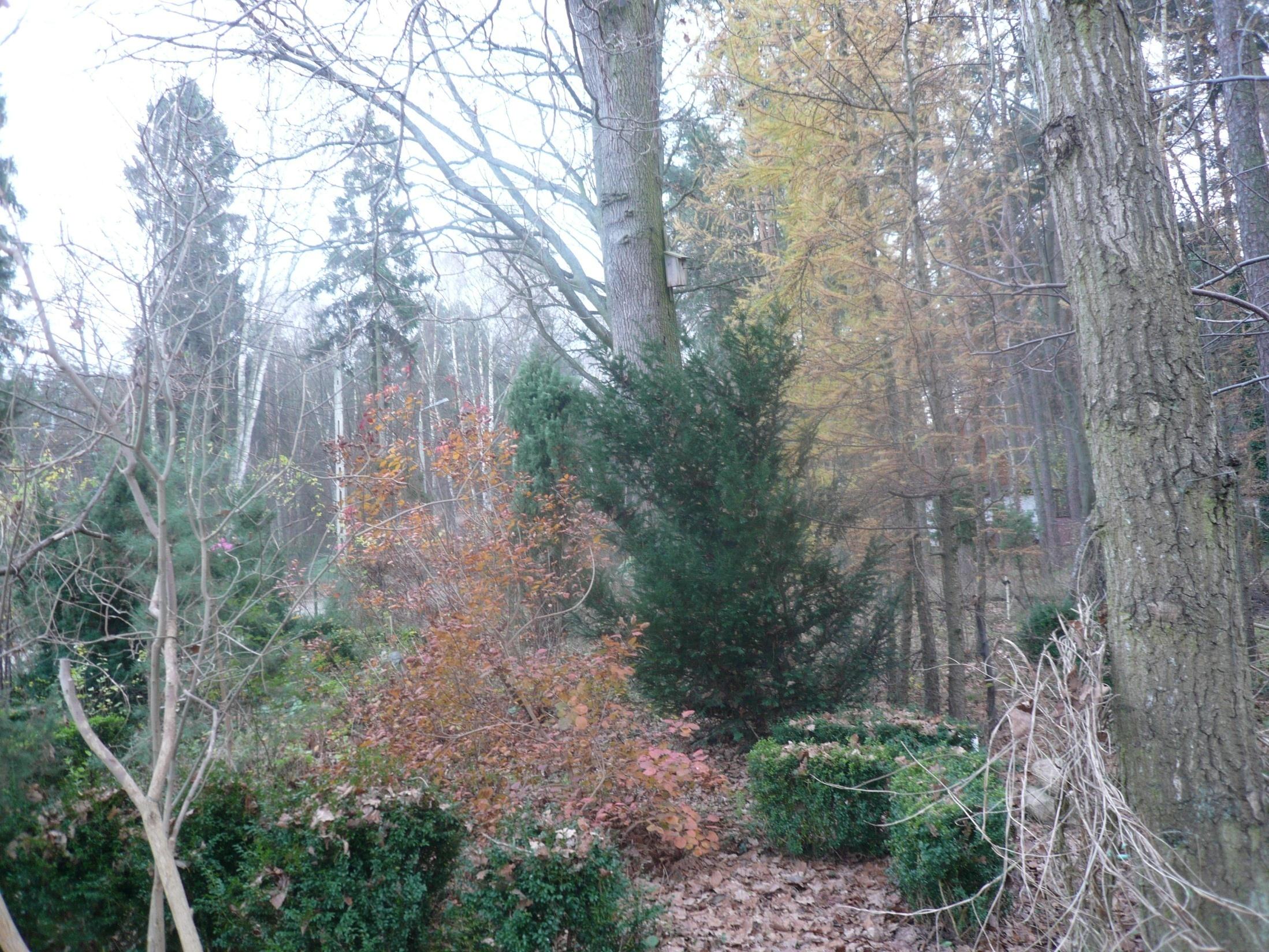 DZIĘKUJĘ za