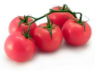WARZYWA VEGETABLES GEMÜSE pomidor tomato Tomate ogórek cucumber