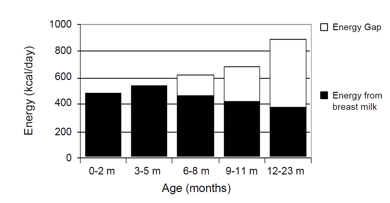 Energia [kcal/d] Zapotrzebowanie energetyczne niemowlęcia a ilość energii dostarczanej z mlekiem kobiecym Żywność uzupełniająca Różnica