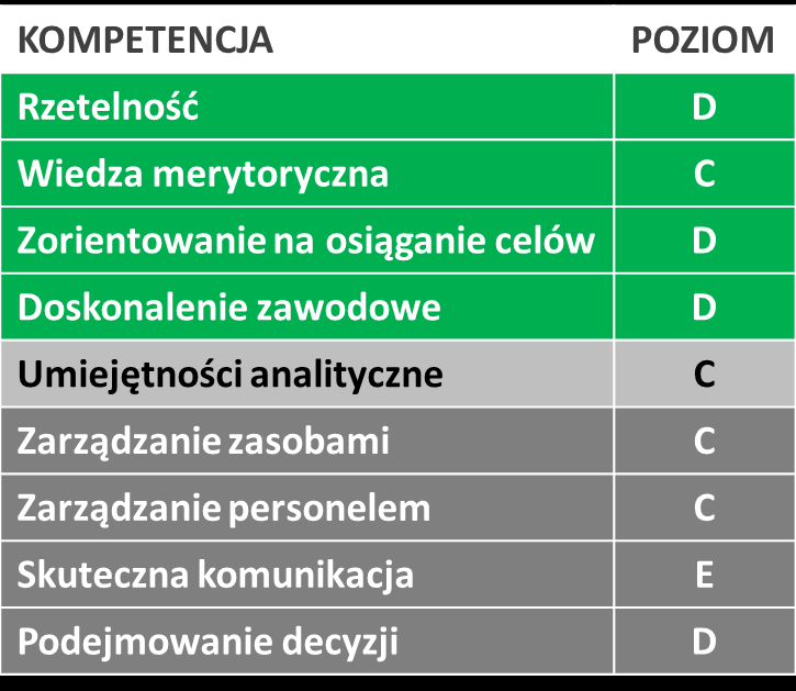 Dla każdego ze stanowisk opracowano profil kompetencyjny, a następnie stworzono macierz