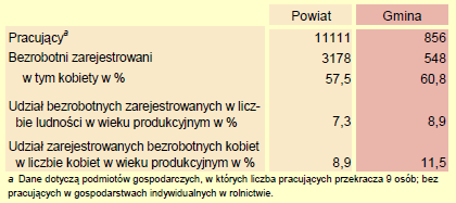 - prognozowane zmiany liczby oraz struktury ludności wskazują na systematyczny spadek liczby mieszkańców Gminy, w tym szczególnie osób w wieku przedprodukcyjnym i produkcyjnym, a także wzroście