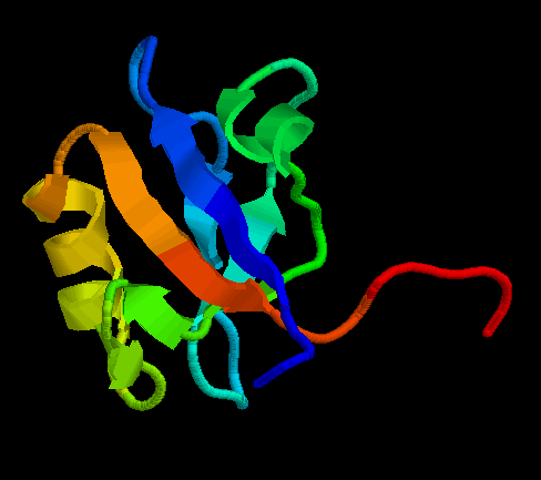 47 T0387 model 4th PDZ domain of PDZ domain containing