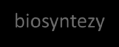 Testowane prekursory biosyntezy Pochodne piperydyny i pirydyny Kwas pirydyno-2-karboksylowy (pikolinowy), Kwas piperydyno-2- karboksylowy (pipekolinowy),