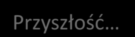 Przyszłość ) instalacja oprogramowania wytwarzanego w ramach projektu EA