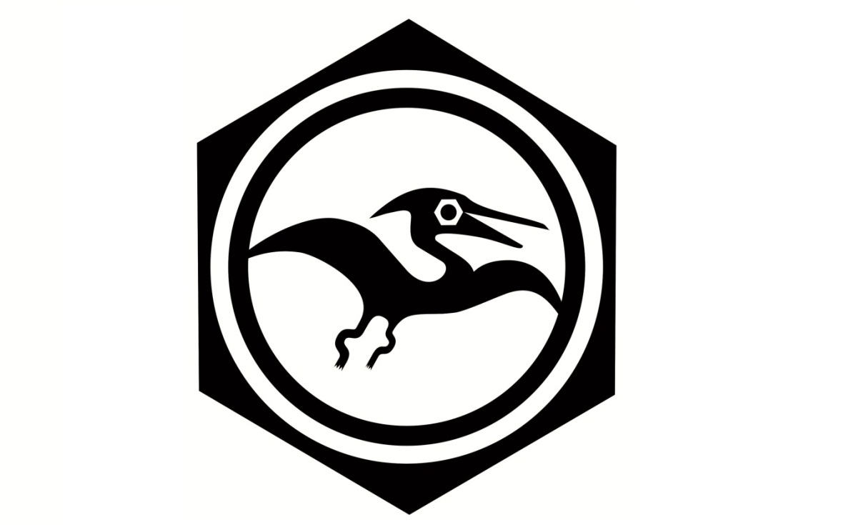 PROJEKT BUDOWLANY-WYKONAWCZY pn.