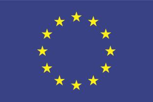 2-3 letnie cykle realizacji H2020 Horizon 2020 2014 2015 2016 2017 2018 2019 2020 Strategic Programme Work Programme 1 (plus tentative information for 2016) Strategic Programme