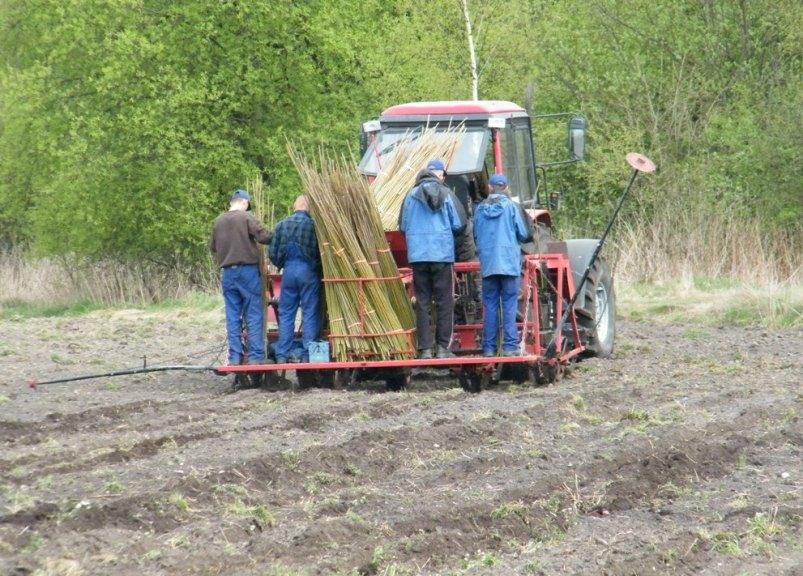 Dziękuję za uwagę Jacek Piekacz Dyrektor ds.