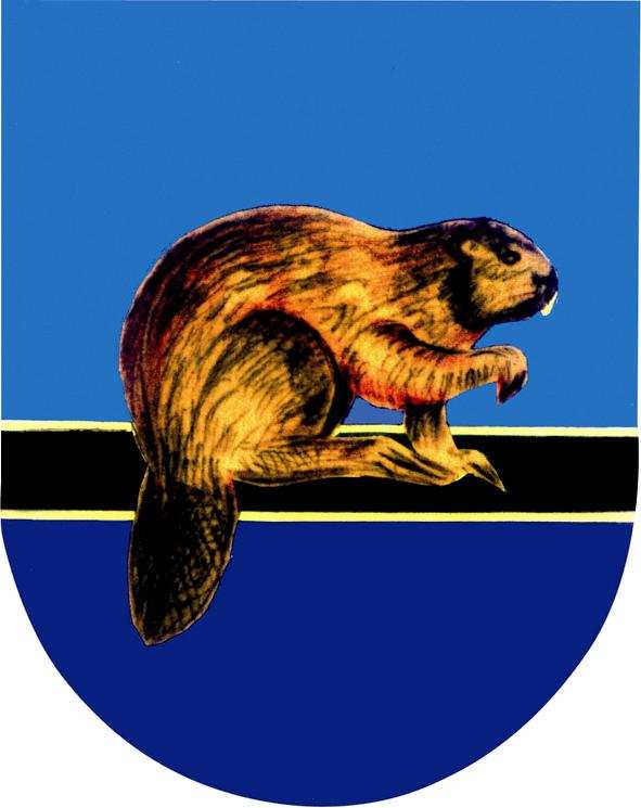 .., REGON:..., zwanym dalej Zleceniobiorcą,