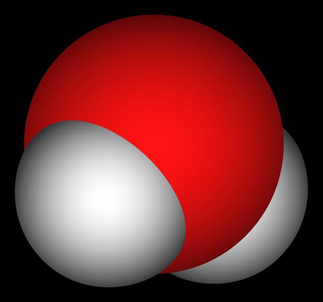 SYMBOL NR