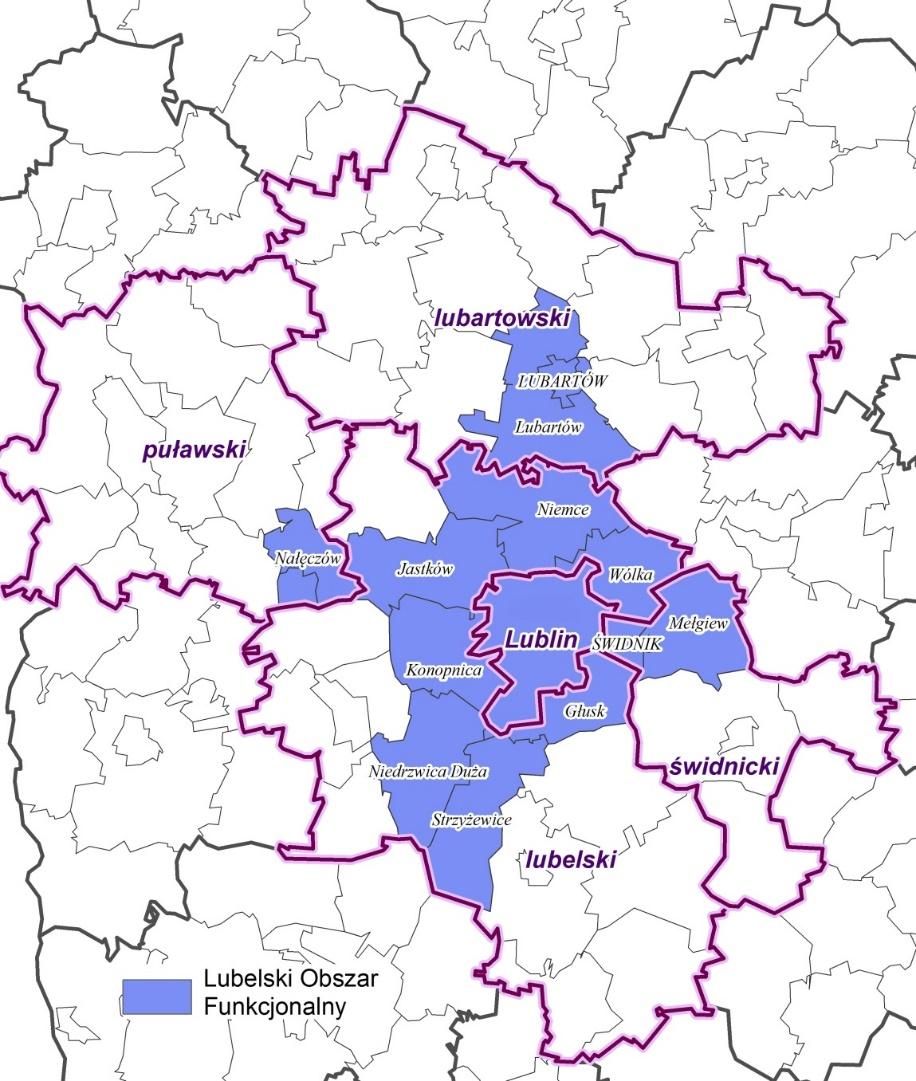 Ministerstwo brakuje trzech gmin (Spiczyn, Piaski, Jabłonna), natomiast pojawia się dodatkowo gmina Nałęczów, która nie występuje w delimitacji MRR.