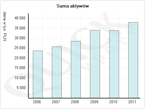 Profil finansowy Rok sprawozdawczy 2006 2007 2008 2009 2010 2011 Okres sprawozdawczy [miesiące] 12 12 12 12 12 12 Jednostka tys. PLN tys.