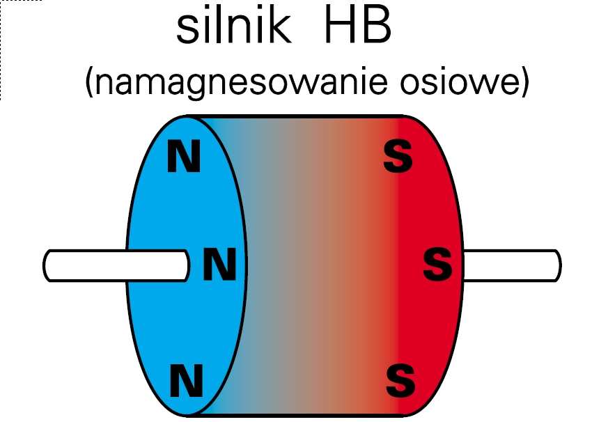 Pakiety wirnika przesunięte są względem siebie o ½ zęba (rys. 2.14)