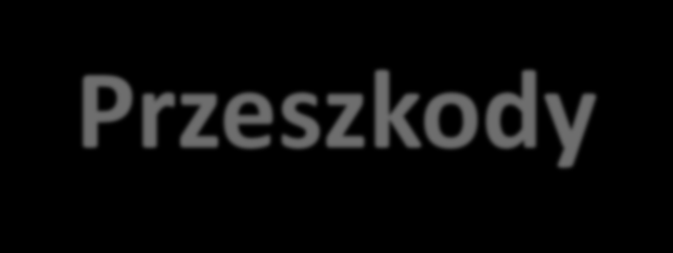 Przeszkody - Głównym warunkiem rozwoju turystyki wodnej jest jednak odpowiednia infrastruktura.