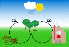 Efektywne spalanie biomasy pochodzenia drzewnego w jednostkach grzewczych Ogrzewanie biomasą z drzewa - dlaczego ekonomiczne i ekologiczne?