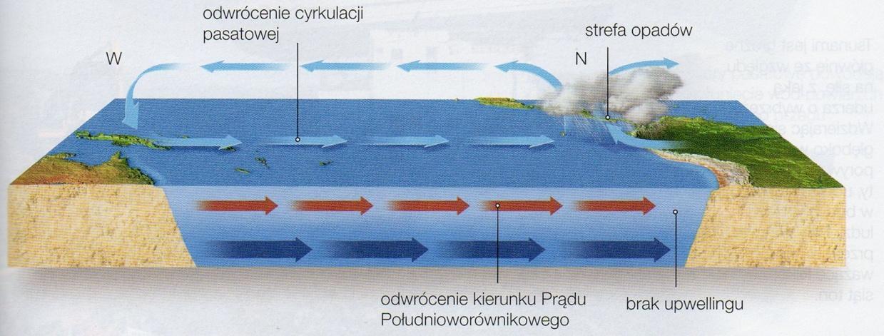 W konsekwencji następuje zmiana typowej cyrkulacji pasatowej prowadząca do osłabienia lub nawet zaniku upwellingu.