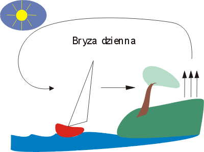 Bryza