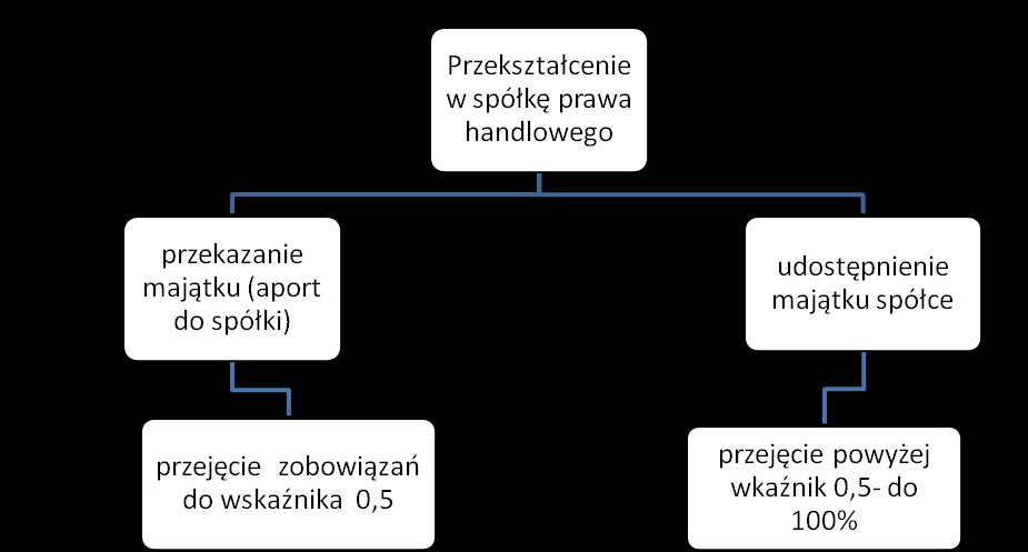 Rysunek 4 Warianty przekształcenia w spółkę prawa handlowego. 2.2.3. Mechanizm wsparcia Mechanizm wsparcia daje możliwość pozyskania zewnętrznych środków na potrzeby restrukturyzacji zadłużenia.