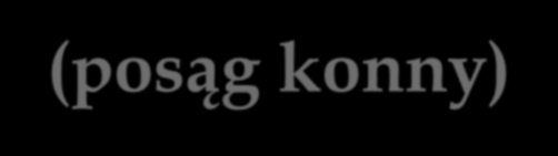 POMNIK KONNY