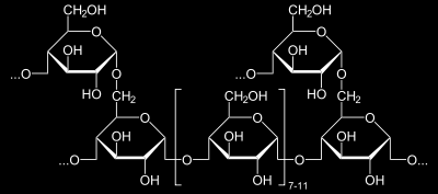 Glikogen Zbudowany z połączonych glikozydowo alfa(1 4) oraz alfa(1 6) cząsteczek alfa-dglukopiranozy.