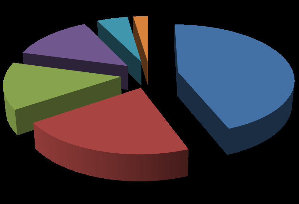 18,56% Najczęs ciej wskazywali nie- 25% 20% korzystny wpływ komórki na zdrowie (21,36 proc.), następnie na szkody dla budżetu 15% 10,50% 8,58% 10% się, że telefon komórkowy kradnie czas (4,96 proc.
