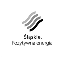 Załącznik nr 1 do Uchwały nr 380/23 /IV/ 2011 Zarządu Województwa Śląskiego z dnia 22.02.2011 r. Lista rankingowa w ramach konkursu nr 1/POKL/9.5/2010 dla Działania 9.
