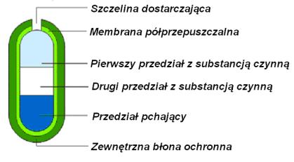 Istnieją trzy różne rodzaje systemów OROS. System jednokomorowy (Ryc. 2) został zaprojektowany dla substancji czynnych rozpuszczalnych w wodzie.
