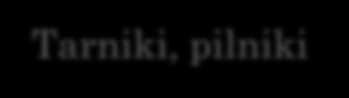 pilniki służą do