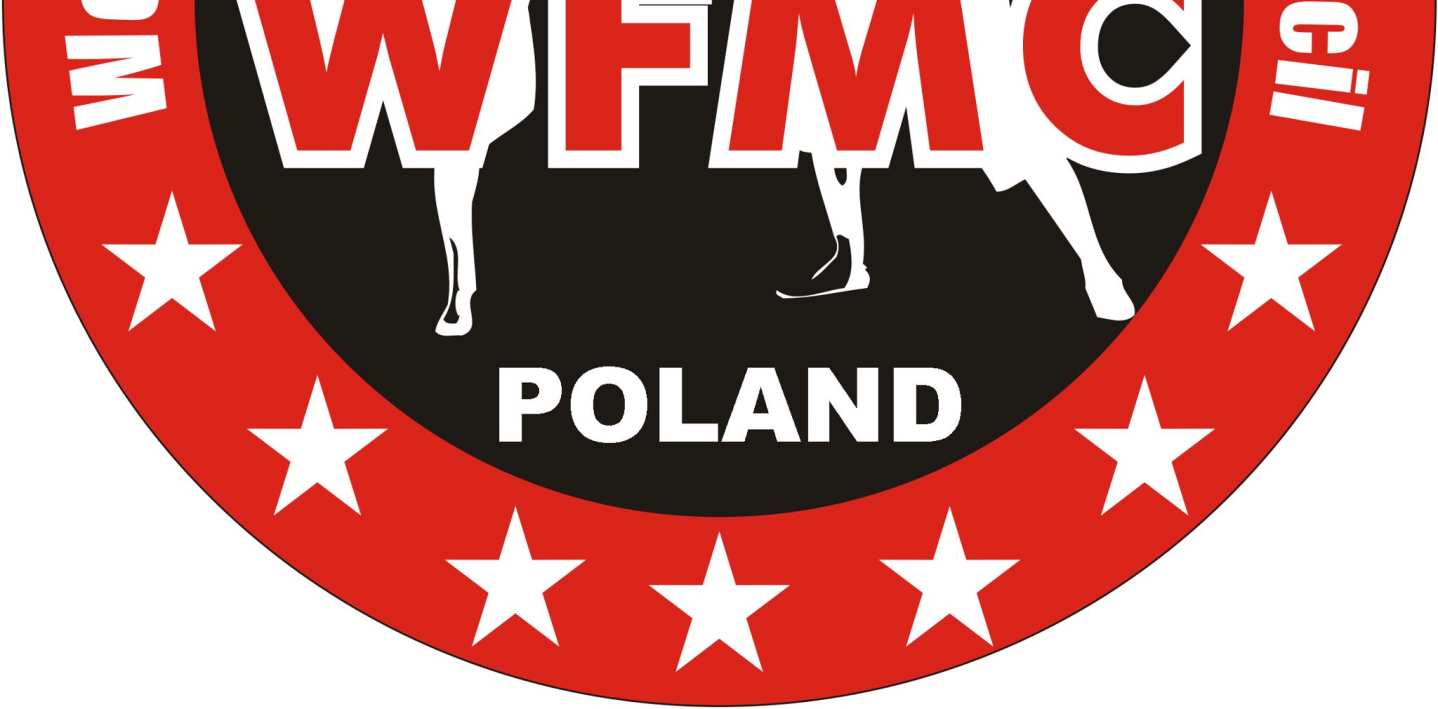 Federacja WFMC, Walhalla Fight Club oraz Burmistrz Miasta Mińsk Mazowiecki mają zaszczyt zaprosić Państwa na I Otwarte Mistrzostwa Polski Sztuk Walk WFMC.