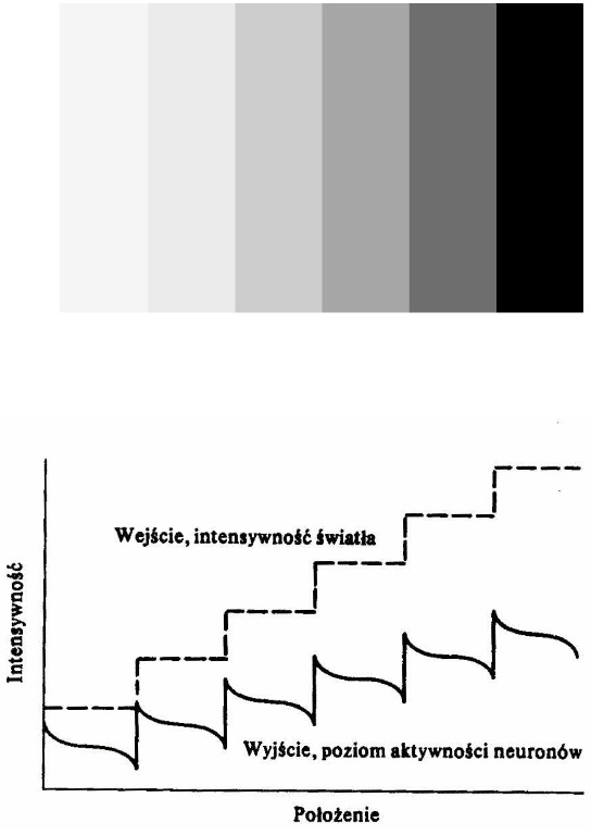 Przykład:
