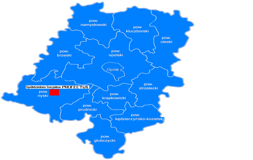 [Wpisz tekst] Samorząd Województwa Opolskiego REGIONALNY OŚRODEK POLITYKI SPOŁECZNEJ W OPOLU Obserwatorium Integracji Społecznej 45 3 1 5 O P O L E ul. Głogowska 25C TEL.